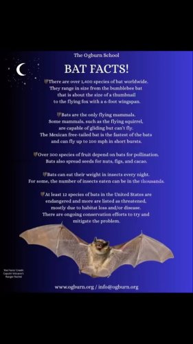 Video post from ogburnschool.