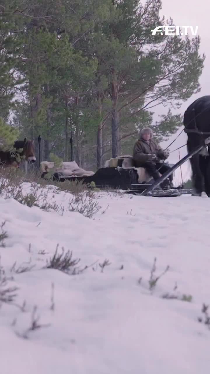 Video post from fei_global.