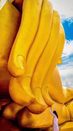 Video post from amazingthailandjp.