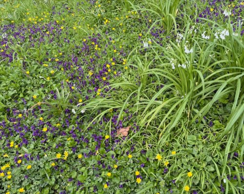 Photo post from gardenhousebrighton.