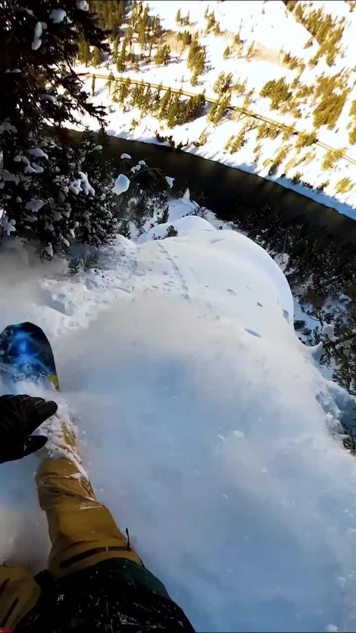 Video post from libtechnologies.