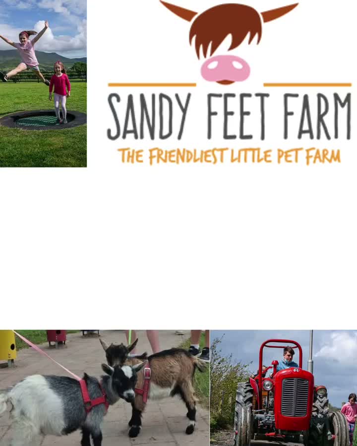 Video post from dinglepeninsulatourism.