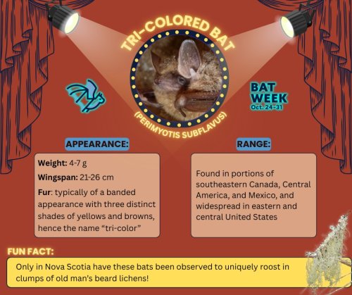 Photo post from merseytobeatic.