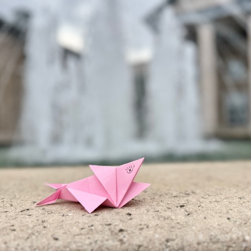 Photo post from uscbeaufort.