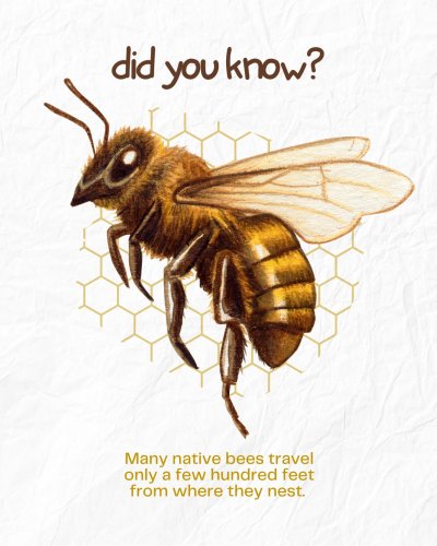 Photo post from creatinghabitats.