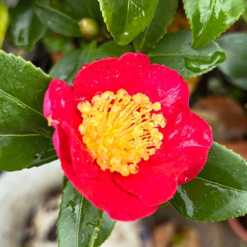 Photo post from gardenhousebrighton.