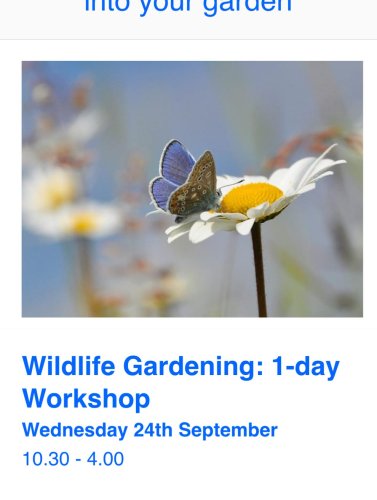Photo post from gardenhousebrighton.