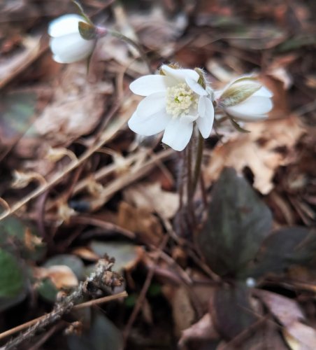 Photo post from rewilding_home.