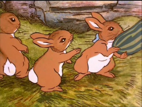 ❣️ピーターラビット モーニングセット　計15点 Amazon.co.jp: ピーターラビット ペアモーニングセット : ホーム