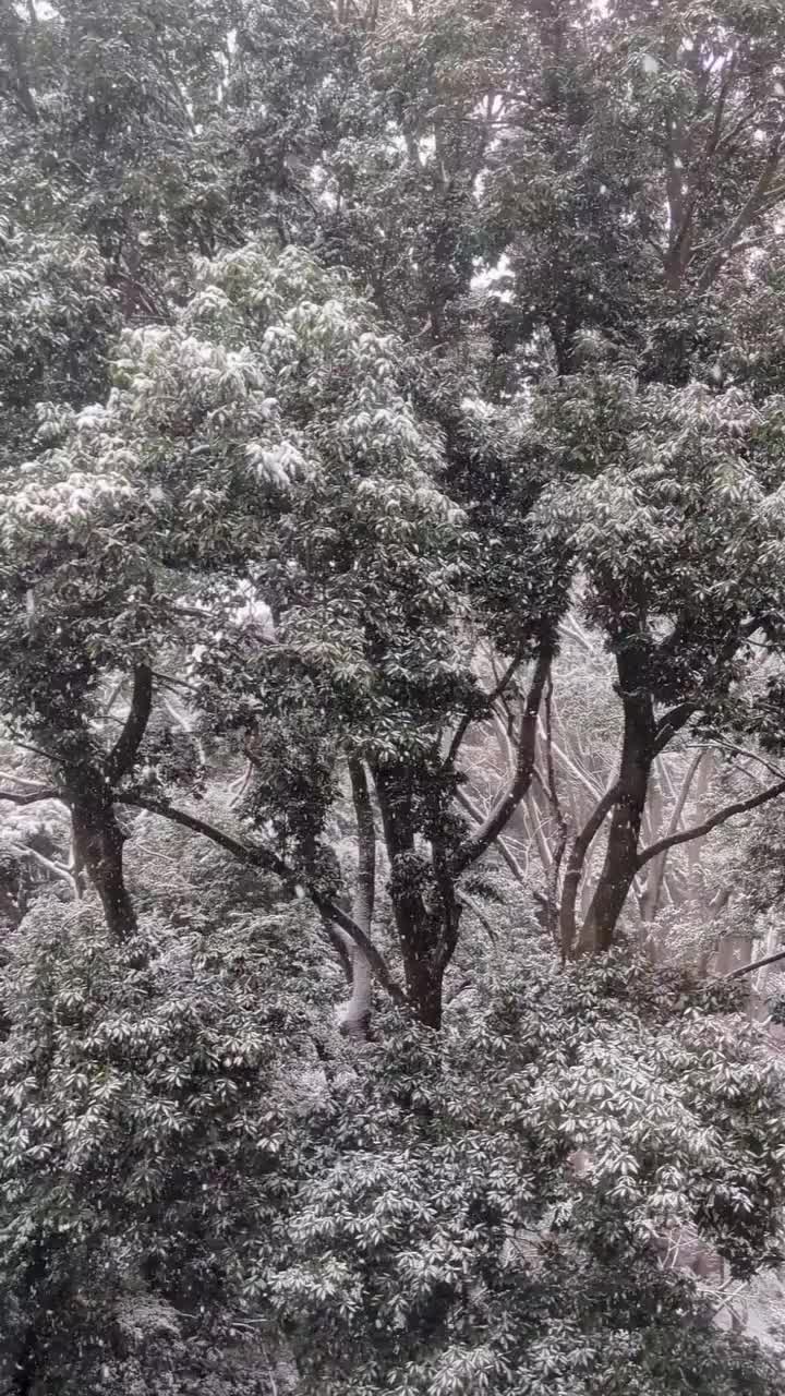 Video post from takashi_nigata.