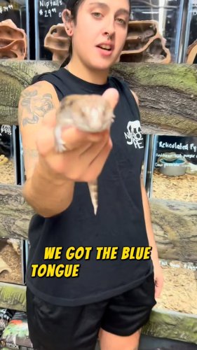 Video post from njexoticpets.