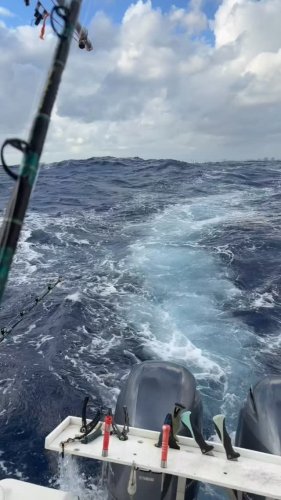 Video post from ejs_fishing_charters.