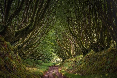 Photo post from rpslandscape.