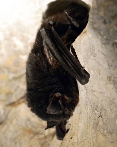 Photo post from jenolancaves.