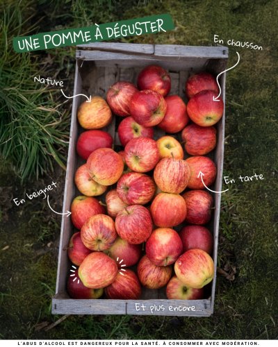 Photo post from lavillageoiseencuisine.