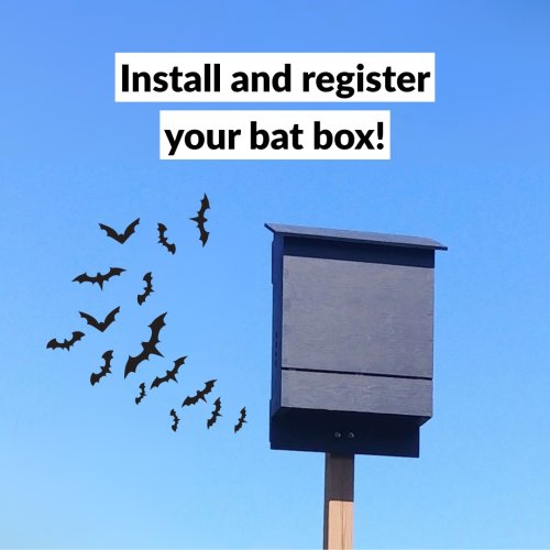 Carousel post from cwf_fcf.