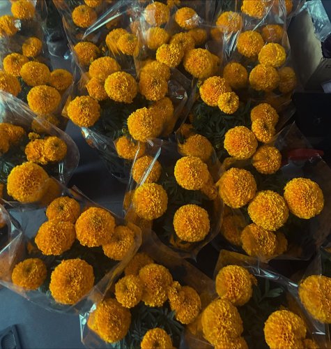 Carousel post from la_gifteria.