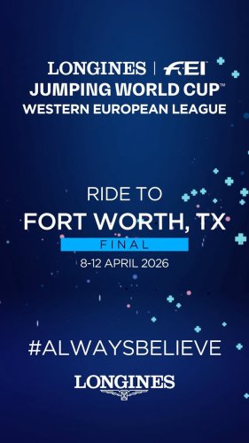 Video post from fei_global.