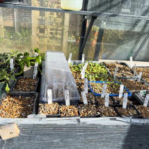 Photo post from gardenhousebrighton.