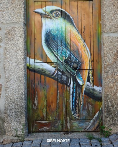 Photo post from visit.belmonte.