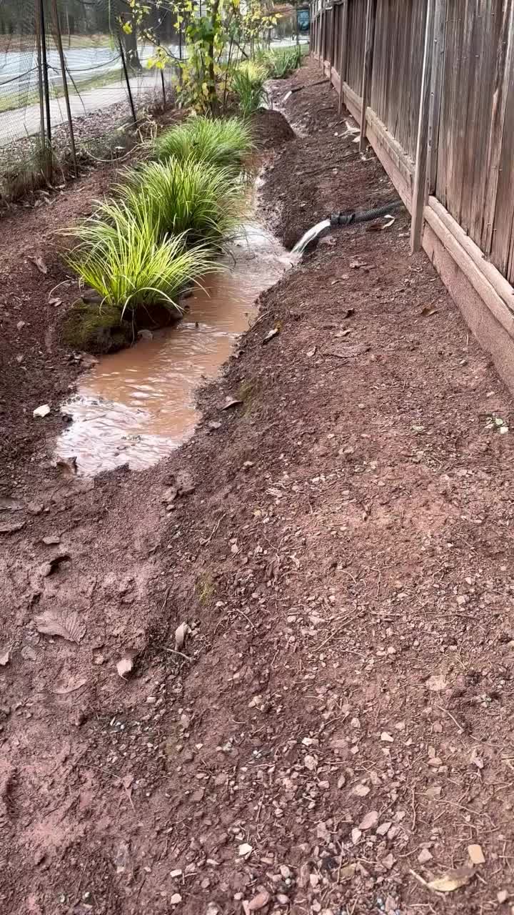 Video post from mireade2025.