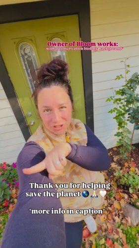 Video post from bloomworksgardeningco.