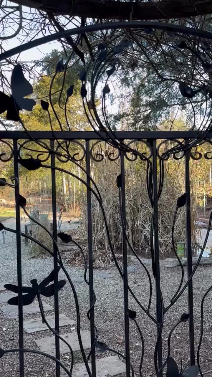 Video post from mireade2025.