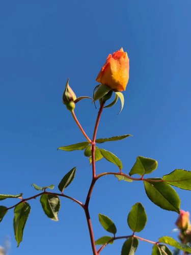 Carousel post from gardenhousebrighton.