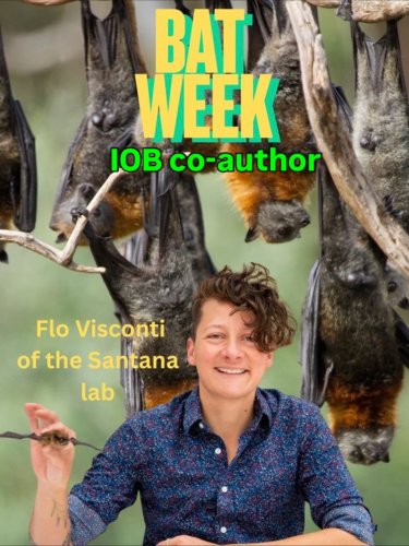 Photo post from iobjournal.