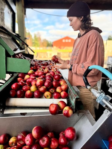 Carousel post from finnriver.