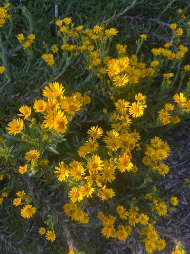 Carousel post from mg_nursery_hernandocounty.