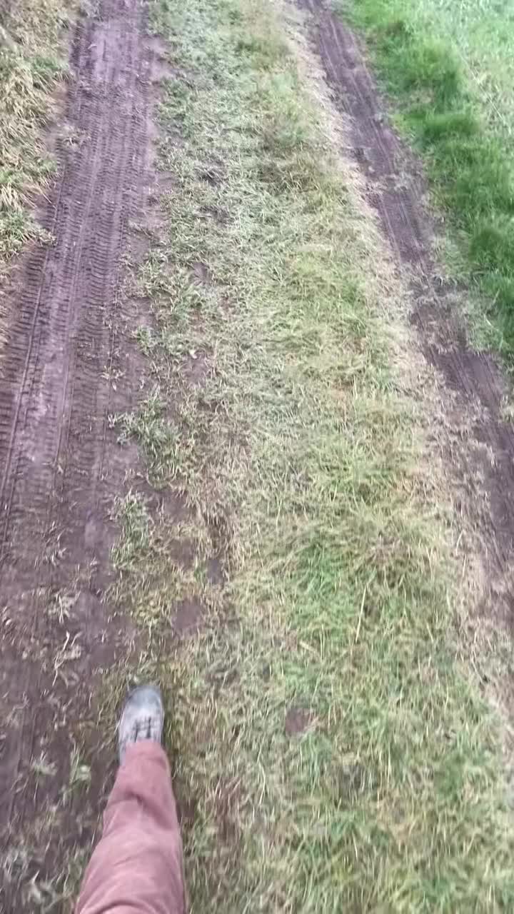 Video post from sarahvisuals.de.