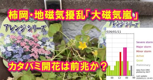 Photo post from nmomose.