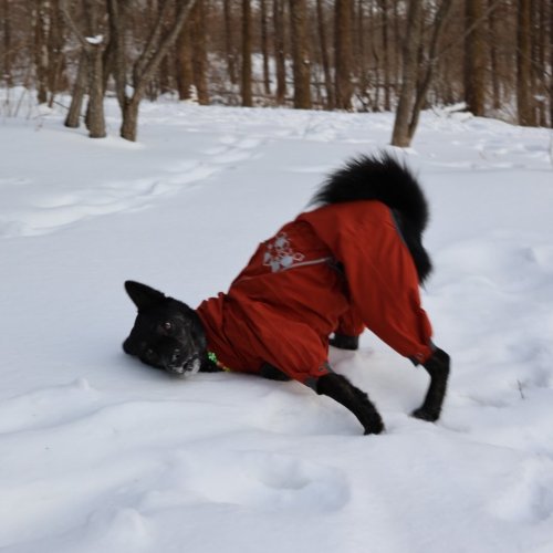 Carousel post from aegomslife.