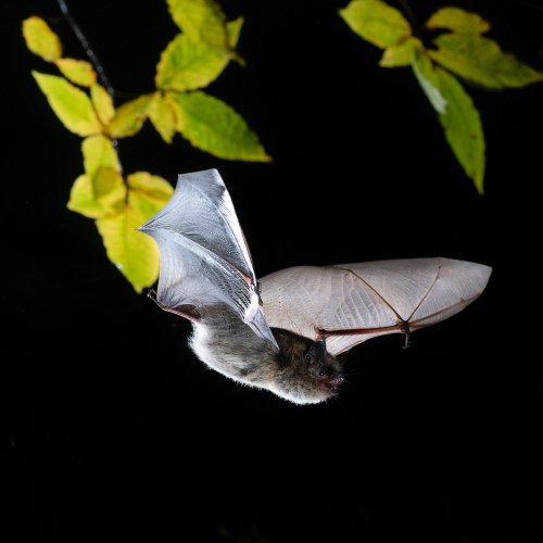 Photo post from keepkywild.