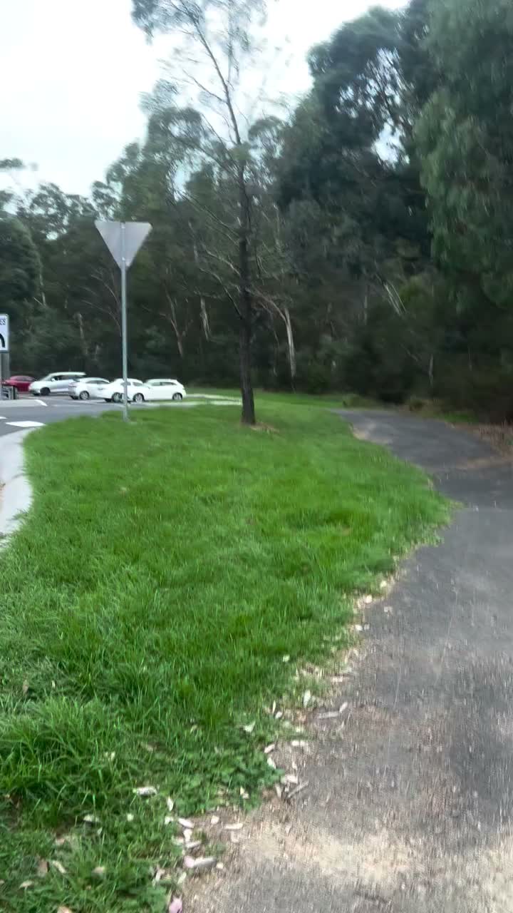 Video post from monashcoding.