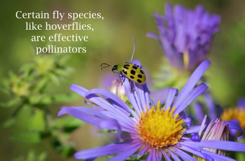 Photo post from mistyyoungphoto.