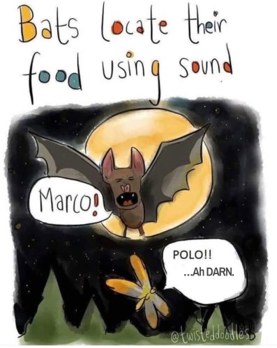 Photo post from gloriajeanstories.