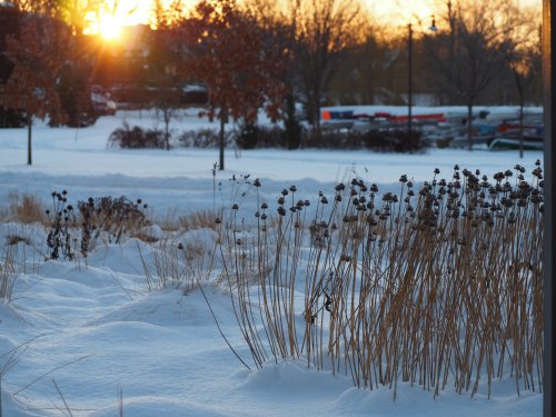 Photo post from bluethumbmn.