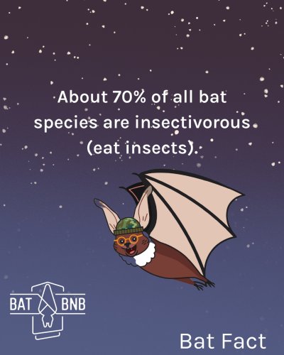 Photo post from batbnb.