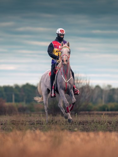 Carousel post from fei_global.