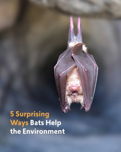 Photo post from theconservationfund.