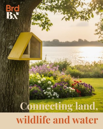 Photo post from brdbx_nest.