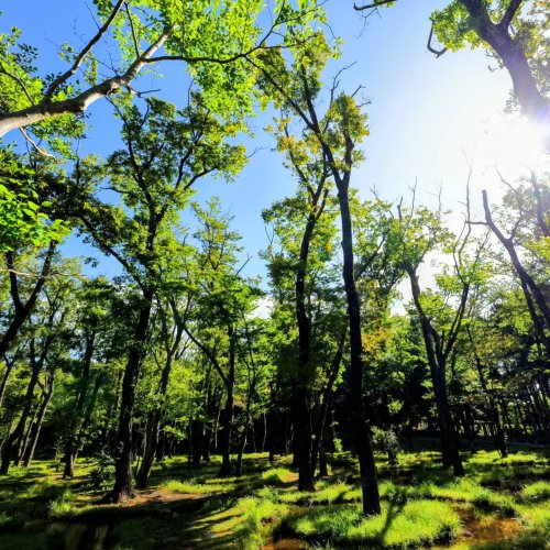 Carousel post from takashi_nigata.