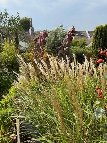 Photo post from gardenhousebrighton.