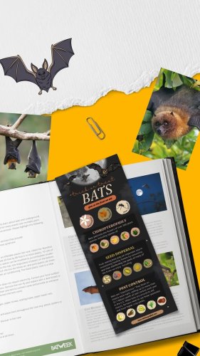 Video post from ngsmagnified.