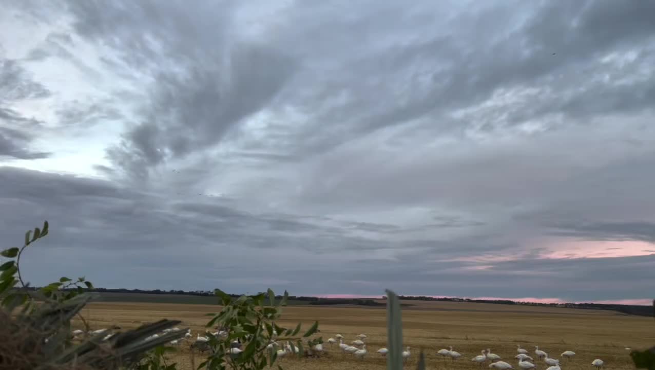 Video post from northernskiesoutfitters.