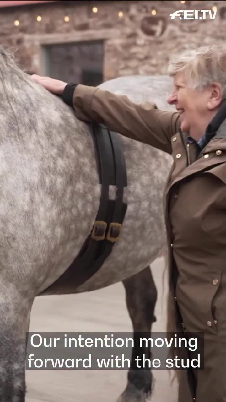 Video post from fei_global.