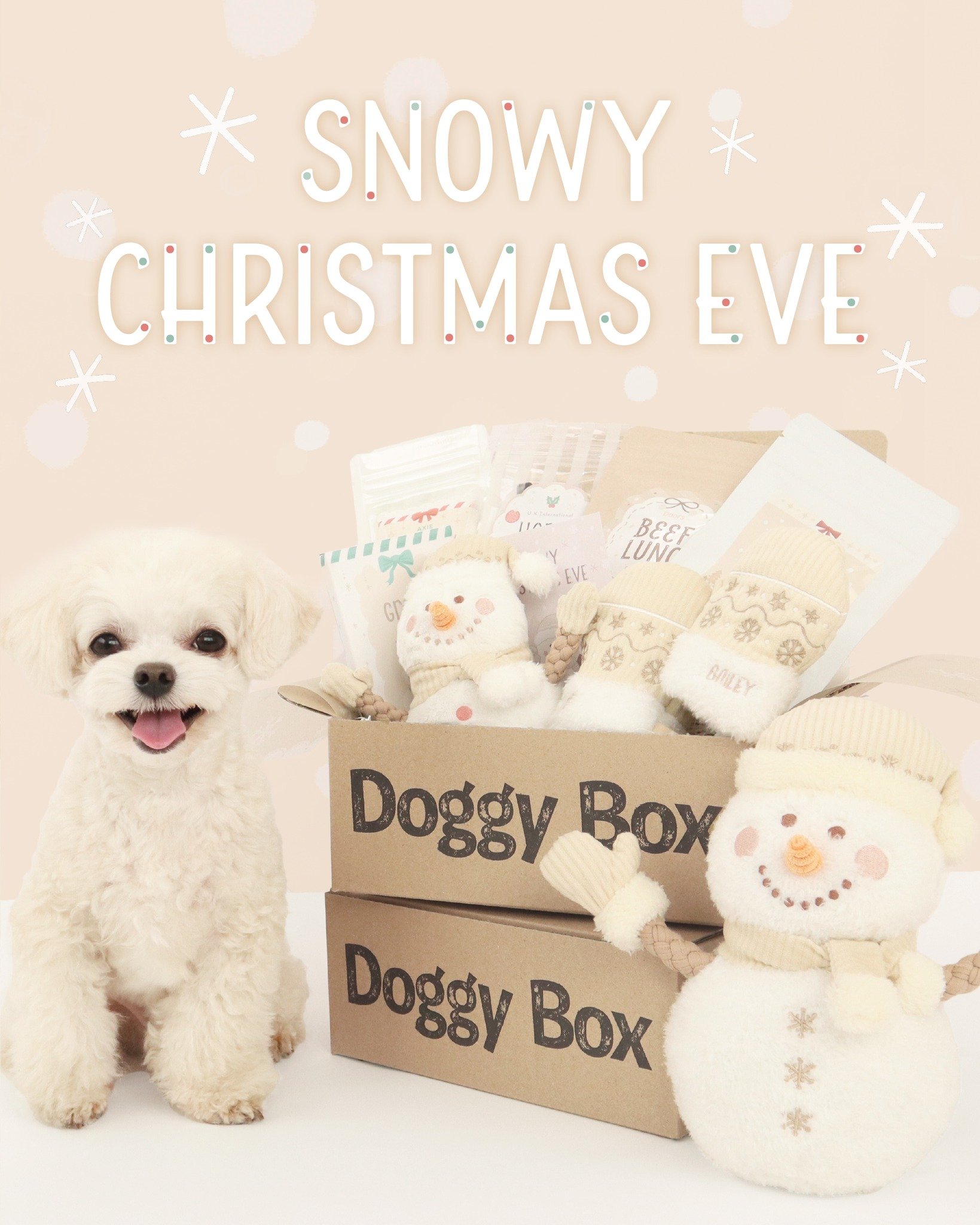 Doggy Box | 毎月サプライズいっぱいのBOXをお届け