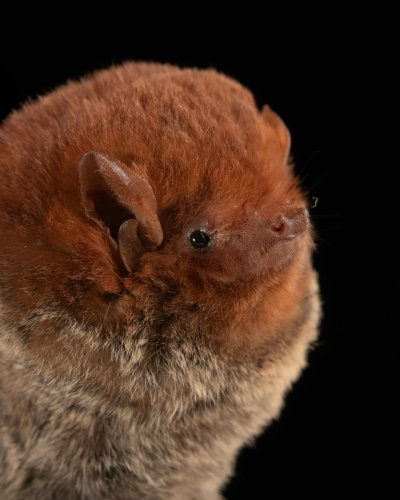 Photo post from lanz_wild.